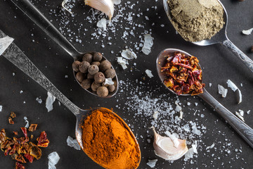 Colorful spices in spoons on dark background 