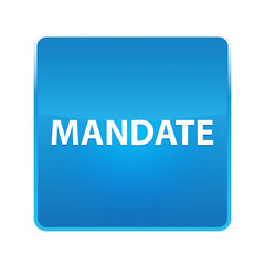 Mandate shiny blue square button