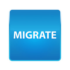 Migrate shiny blue square button