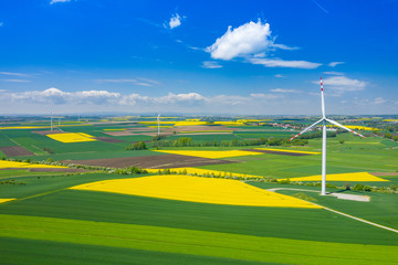 Aerial view of wind turbine. Rapeseed blooming. Windmills and yellow fields from above. Agricultural fields on a summer day. Renewable Energy.
