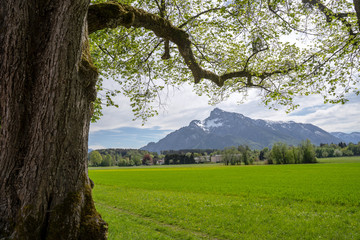 Fototapeta na wymiar Romantisches Salzburger Land mit Blick auf die Alpen