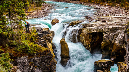 The turbulent turquoise water of the Sunwapta River as it tumbles down Sunwapta Falls in Jasper National Park in the Canadian Rocky Mountains