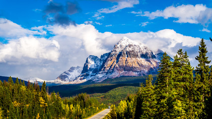 Mount Fitzwilliam, East on the Yellowhead Highway,  part of the Canadian Rockies. The lower half is dolomite. The upper half quartzite covered with lichen that gives it a very dark gray color