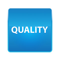 Quality shiny blue square button