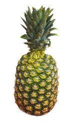 Big pineapple isolated