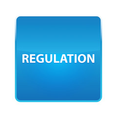 Regulation shiny blue square button