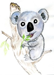Cute painted koala
