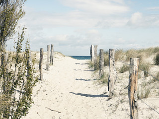 Pathway to the beach