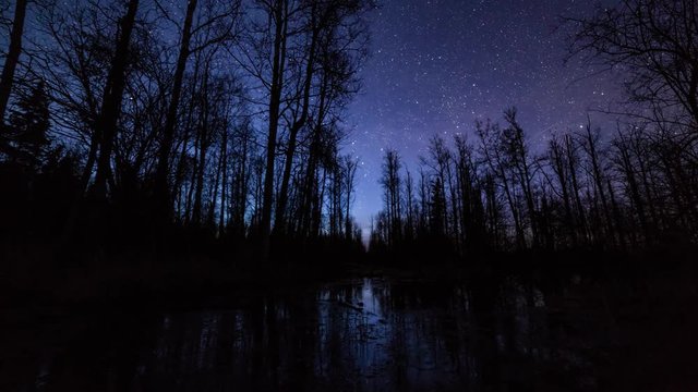 Amazing night to day motion time lapse, starry sky reflected in pond with trees silhouetted
