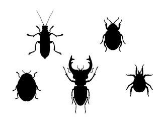 Set beetles insect black silhouette animal. Vector Illustrator.