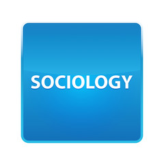 Sociology shiny blue square button