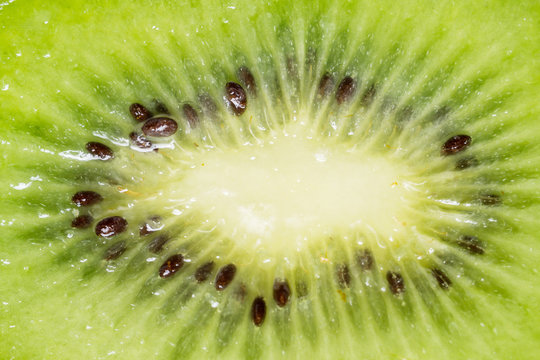 Kiwi fruit macro