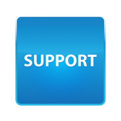 Support shiny blue square button
