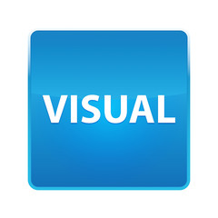 Visual shiny blue square button