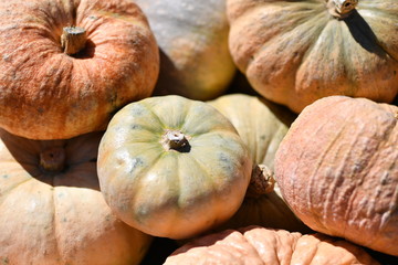 A heap of different mini pumpkins on a market in Spain. Several colorful pumpkins on a market in Spain.  