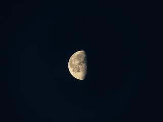 last quarter moon