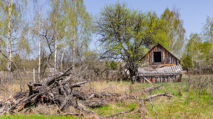 Abandoned little house in Belarus Chernobyl exclusion zone, recently opened for the public from april 2019.