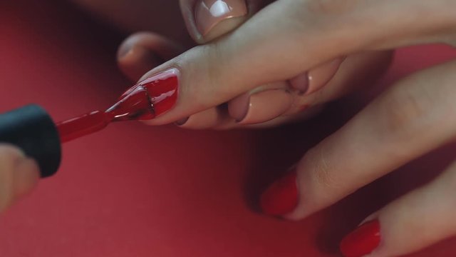 the manicurist paints the client's nails with red nail polish on a red background Painting nails.