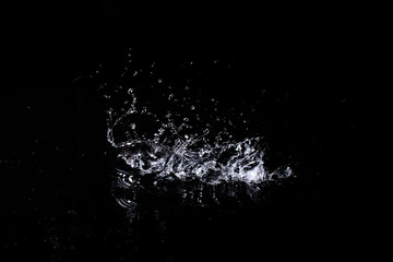 Splash of water. Isolate on black background