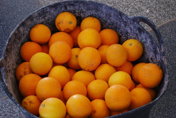 Fruit Oranges in a Bucket