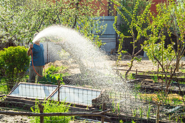 Man watering the beds in the garden