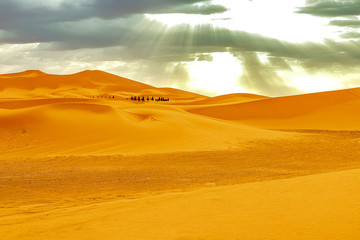 Fototapeta na wymiar Caravan going through the sand dunes in the Sahara Desert