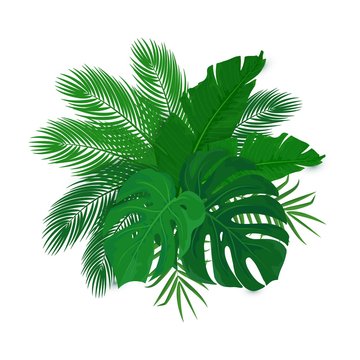 Tropical Leaf Clip Art Images – Browse 47,739 Stock Photos, Vectors ...