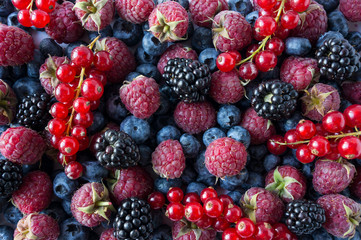 Ripe blackberries, blueberries, red currants and raspberries. Mix berries and fruits. Top view....
