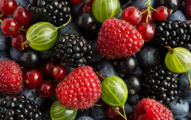 Mix berries and fruits. Ripe blackberries, blackcurrants, red currants, raspberries and gooseberries. Top view. Background berries and fruits. Various fresh summer fruits.