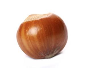Hazelnut isolated on white background