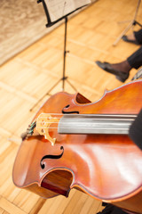 Obraz premium Contrabass. School of jazz. Jazz band. 