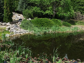 View of spring vegetation around decorative garden pond with dried artificial waterfall made of rocks with small bench as bridge across the stream