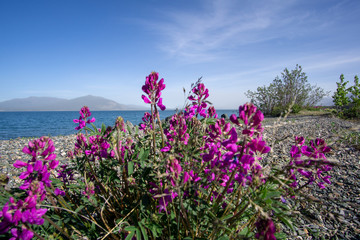 Canada Alaska