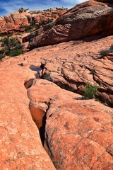 Views from the Lower Sand Cove trail to the Vortex formation, by Snow Canyon State Park in the Red Cliffs National Conservation Area, by Gunlock and Saint George, Utah, United States. 
