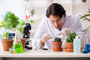 Biotechnology chemist working in lab