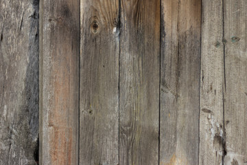 Naklejka premium Texture wood scratches and cracks, background