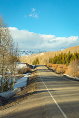 Snowy, winter scenic in nature with sun kissed Birch trees and wide open spaces in Colorado wilderness