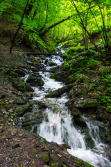 Obraz premium View of the brook in Caucasian mountains