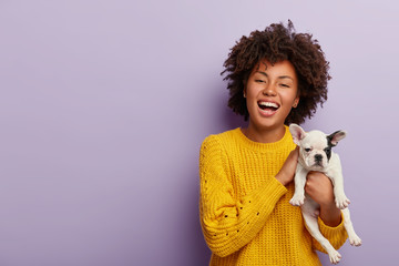 Inspired positive dark skinned woman enjoys pets company, teases small dog puppy, wears casual jumper, stands against purple studio background with empty blank space for your promotion or advert
