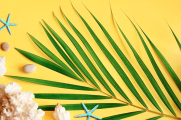 Summer vibes. Tropical palm leaf, seashells and starfish. Flat lay, top view
