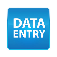 Data Entry shiny blue square button