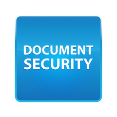 Document Security shiny blue square button