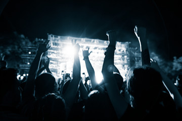 Rear view of cheering crowd at music concert by night.
