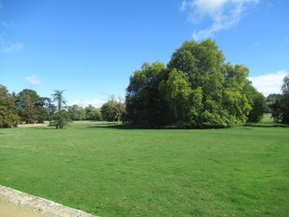park in summer