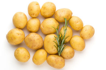 New potato and rosemarin isolated on white background close up.