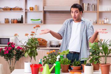 Young handsome man cultivating flowers at home