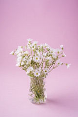 White flowers bouquet in glass vase on pink background
