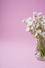 White flowers bouquet in glass vase on pink background
