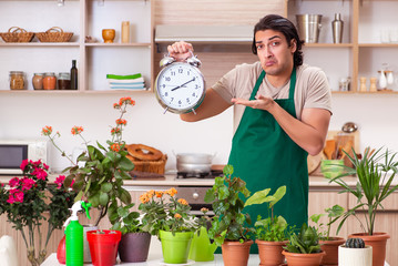 Young handsome man cultivating flowers at home