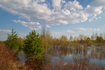 Beautiful spring landscape on the lake.